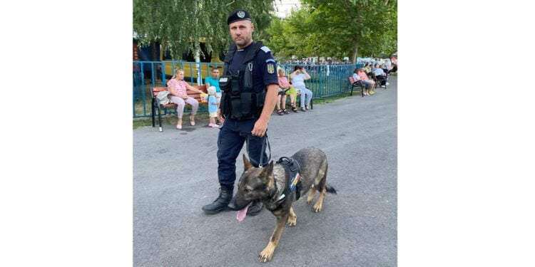În perioada 15 – 18 august jandarmii brăileni au aplicat 26 de amenzi, în valoare totală de 12.800 lei