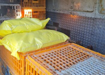 Acțiune a polițiștilor din cadrul Biroului pentru Protecția Animalelor