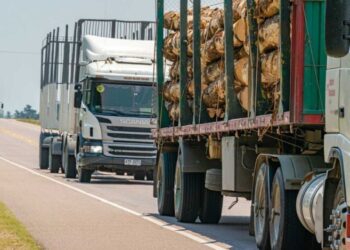 Circulația vehiculelor rutiere cu masa totală maximă autorizată mai mare de 7,5 tone interzisă în perioada 14-18 august pe unele sectoare de drumuri naționale