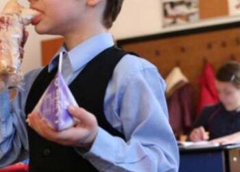 Aprobarea bugetului pentru noul an școlar 2024-2025 privind Programul pentru școli al României