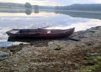 Prinși la pescuit comercial fără a deține autorizațiile necesare