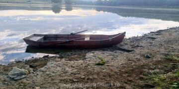 Prinși la pescuit comercial fără a deține autorizațiile necesare