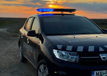 Jandarmeria Brăila scoate la concurs 2 posturi cu încadrare din sursă externă