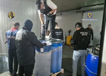 Cocaină identificată în 16 tone de pulpă de fructe congelată, ce provine din Ecuador, capturată de Poliția Română și DIICOT, în cadrul operațiunii cu nume de cod „Exotic”