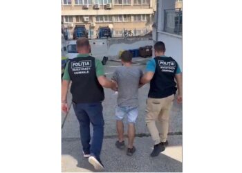 Arestat preventiv sub acuzația de comiterea a șapte infracțiuni de furt și furt calificat