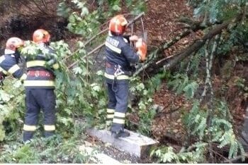 Intervenții ale ISU Brăila pentru stingerea unui incendiu, asigurarea zonei la un accident și degajarea a doi copaci căzuți pe carosabil