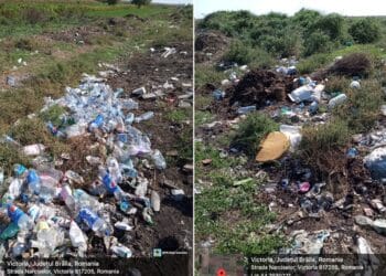 Primăria Victoria, amendată cu 45.000 de lei, după ce au fost identificate mai multe depozite ilegale de deșeuri