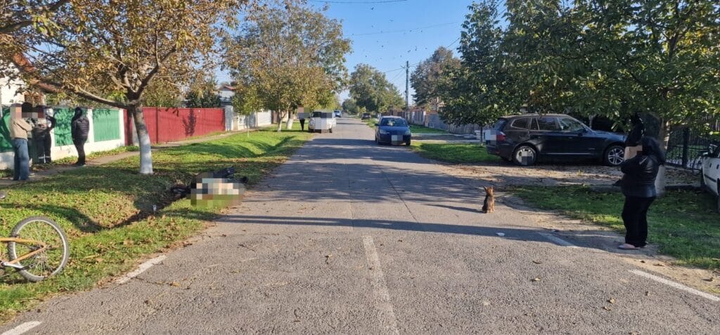 Imagine WhatsApp 2024 10 20 la 17.35.51 5e51956c