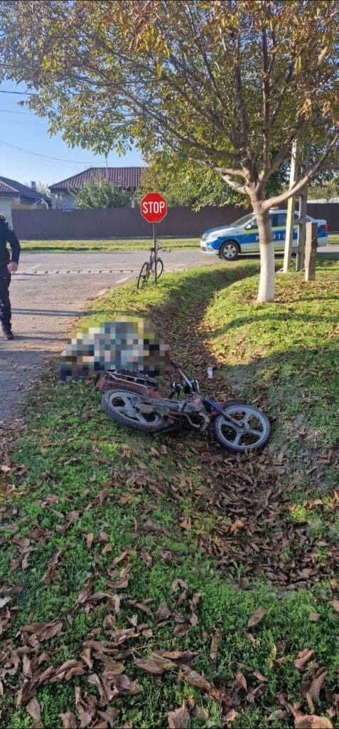 Imagine WhatsApp 2024 10 20 la 17.35.51 9b6fe94f