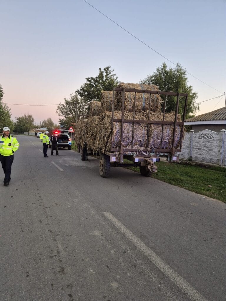 Imagine WhatsApp 2024 10 27 la 14.31.31 0a719ebb