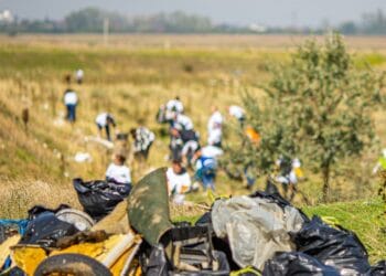 România adoptă oficial Ziua de Curățenie Națională