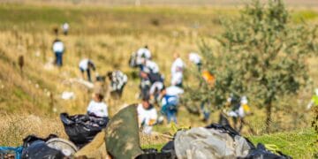 România adoptă oficial Ziua de Curățenie Națională