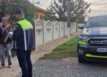 Acțiune de informare a deținătorilor de animale de companie, desfășurată de polițiștii brăileni