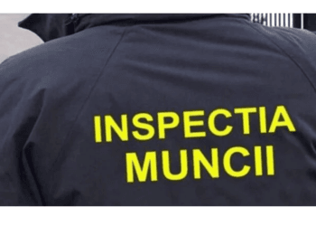 Controale ale ITM Brăila ce au vizat agențiile de muncă temporară și utilizatorii salariaților temporari