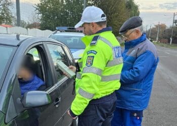 siguranță rutieră