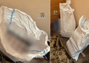 Percheziții la persoane bănuite de săvârșirea infracțiunilor de  constituire a unui grup infracțional organizat și contrabandă calificată