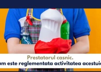 Informații furnizate de AJOFM Brăila privind activitatea desfãşuratã de prestatorul casnic