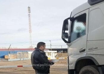 A încercat recuperarea plăcuțelor de înmatriculare, folosind polițe de asigurare RCA falsificate