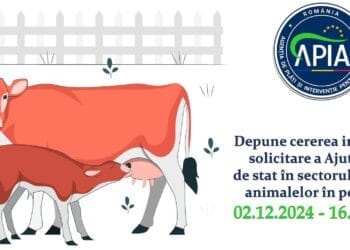 APIA animale
