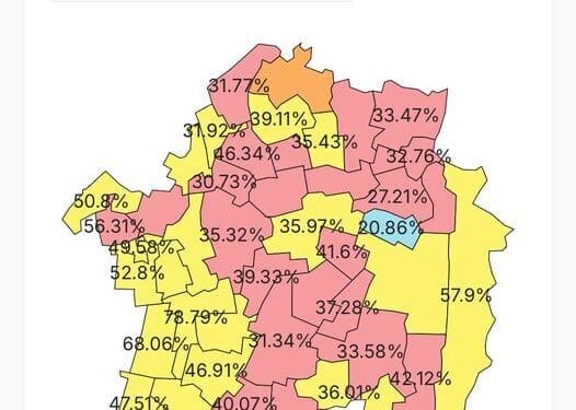 Analiza alegerilor parlamentare 2024 la Brăila
