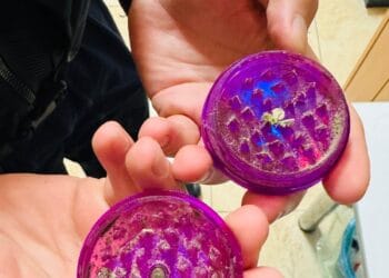 Depistat de jandarmi cu substanțe interzise asupra sa