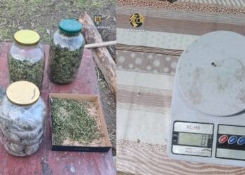 PESTE 1 KILOGRAM DE DROG DE RISC, DESCOPERIT ȘI RIDICAT DE POLIȚIȘTI ȘI PROCURORI