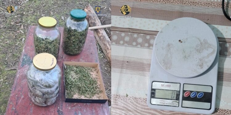 PESTE 1 KILOGRAM DE DROG DE RISC, DESCOPERIT ȘI RIDICAT DE POLIȚIȘTI ȘI PROCURORI