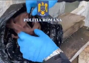 Pistol letal descoperit de polițiști în podul unei case