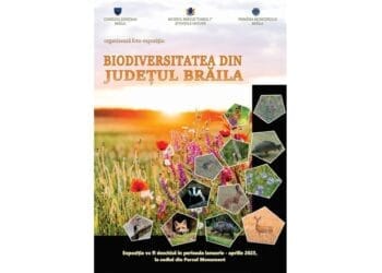 Foto-expoziție la Secția Științele Naturii a Muzeul Brăilei „Carol I”:  „Biodiversitatea din județul Brăila”