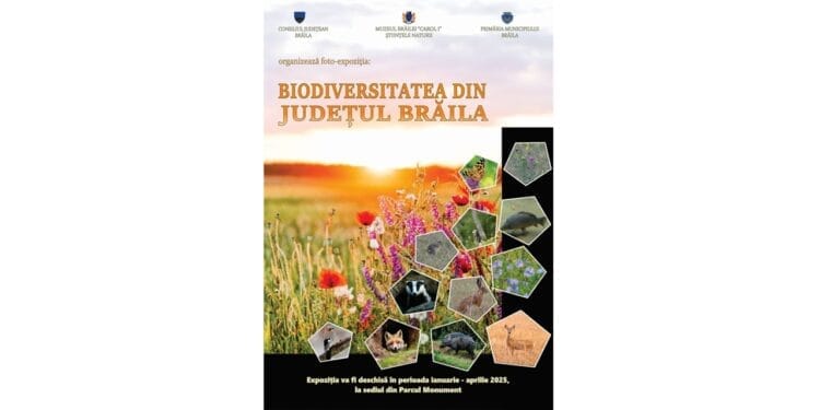 Foto-expoziție la Secția Științele Naturii a Muzeul Brăilei „Carol I”:  „Biodiversitatea din județul Brăila”