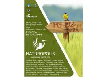 Expoziția de fotografie la Muzeul Brăilei „Carol I”: „Naturopolis. Natura de lângă noi”