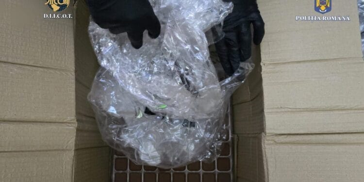 Arestați pentru săvârșirea infracțiunilor de introducere în țară de droguri de mare risc și trafic de droguri de mare risc 14 Arestați pentru săvârșirea infracțiunilor de introducere în țară de droguri de mare risc și trafic de droguri de mare risc