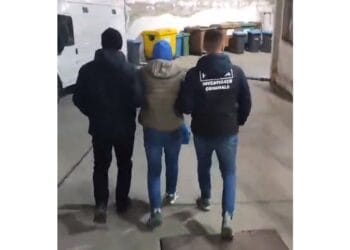 Arestat preventiv pentru furturi din societăți comerciale și autoturisme cu neasigurate