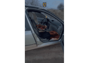 Brăilean cercetat pentru nerespectarea normelor privind vânătoarea