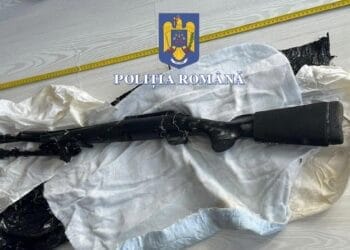 Arme letale descoperite de polițiști în urma unor percheziții domiciliare, în orașul Țăndărei