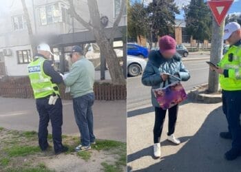 Acțiuni desfășurate de polițiștii brăileni pentru creșterea disciplinei în rândul pietonilor