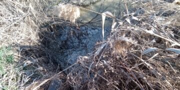 CUP Dunărea a întrerupt traseul de evacuare a apelor uzate din stația de epurare Măxineni după ce a fost amendată de Garda de Mediu Brăila