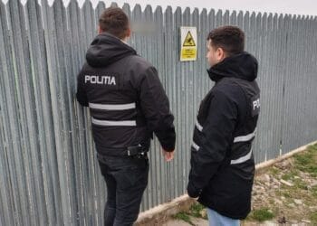 Patru percheziții domiciliare în județul Brăila