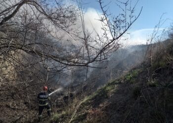 Pompierii brăileni au intervenit la 14 incendii, dintre care 11 de vegetație uscată