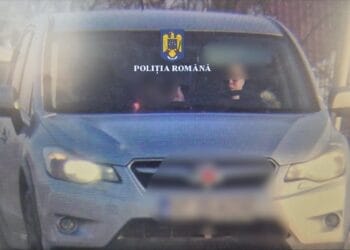 alte 4 dosare penale pentru fals în declarații, deschise prin intermediul sistemului e-sigur