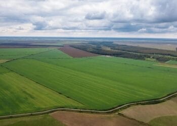 Județul Brăila pe locul 3 în țară la numărul de terenuri agricole vândute în februarie 2025