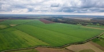 Județul Brăila pe locul 3 în țară la numărul de terenuri agricole vândute în februarie 2025