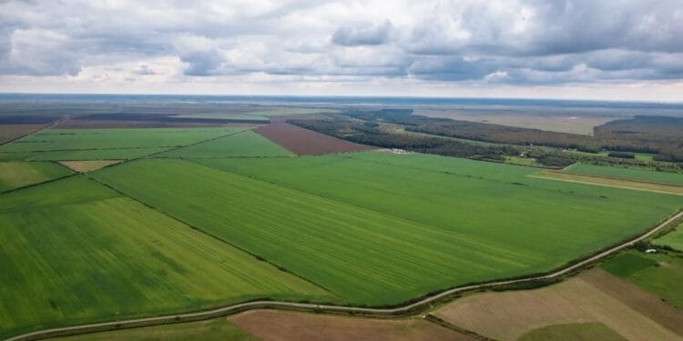 Județul Brăila pe locul 3 în țară la numărul de terenuri agricole vândute în februarie 2025