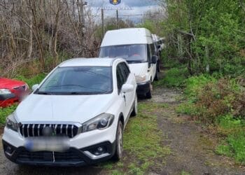 Percheziții în județul Brăila într-un dosar penal ce vizează infracțiuni de evaziune fiscală