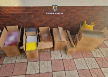 Polițiștii din cadrul Secției 5 Poliție Rurală Viziru, sub coordonarea Parchetului de pe lângă Judecătoria Brăila, au efectuat 11 percheziții domiciliare în comuna Tufești