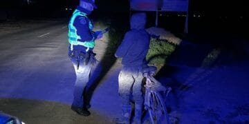 Infracțiuni constatate în flagrant