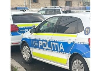 Trei mandate de executare a pedepsei închisorii puse în aplicare de polițiști