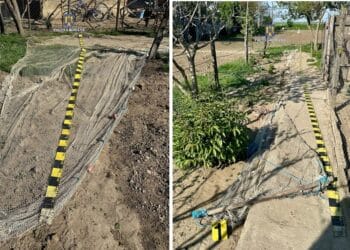 Acțiuni ale polițiștilor brăileni în ultimele 24 de ore. Percheziții pentru prevenirea și combaterea ilegalităților din domeniul piscicol