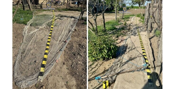 Acțiuni ale polițiștilor brăileni în ultimele 24 de ore. Percheziții pentru prevenirea și combaterea ilegalităților din domeniul piscicol