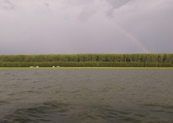 În contextul precipitațiilor abundente din ultimele zile, pe râurile interioare și pe fluviul Dunărea, pe teritoriul județului Brăila, nu au fost semnalate probleme deosebite